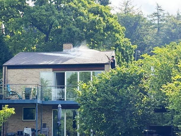 Home protection treatment