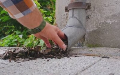 Pourquoi réaliser un Entretien façade à Genève lorsque des mousses et des lichens commencent à se développer sur les murs ?