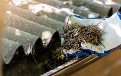 Quels avantages présente un Nettoyage gouttière à Genève réalisé par un professionnel sur une maison à plusieurs étages ?