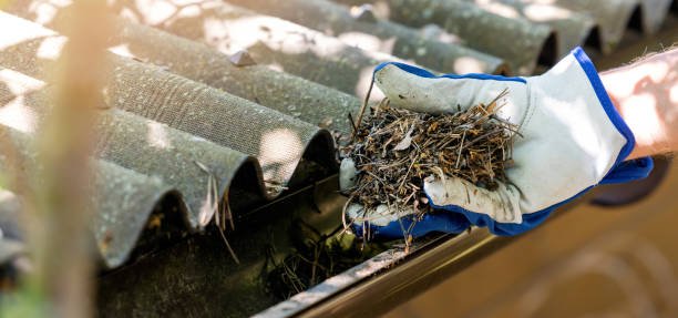 Quels avantages présente un Nettoyage gouttière à Genève réalisé par un professionnel sur une maison à plusieurs étages ?