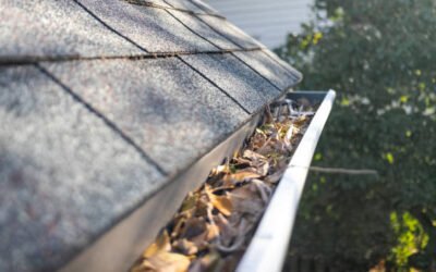 Quels signes indiquent qu&rsquo;un Entretien façade à Genève devient nécessaire lorsque des traces d&rsquo;humidité apparaissent sur les murs extérieurs ?